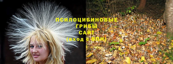 a pvp Армянск