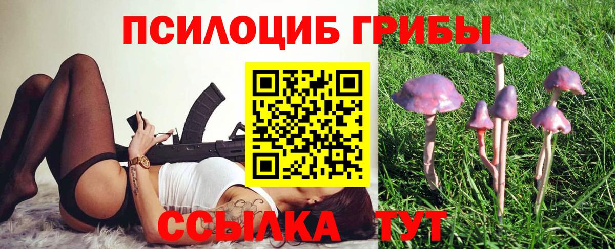 Галлюциногенные грибы Magic Shrooms Кубинка